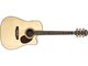 Freshman Guitars FA250DCE